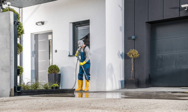 Best Roof Cleaning and Mildew Removal in Moraga, CA